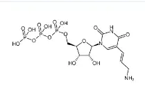 CAS號(hào)：112131-73-4，Aminoallyl-UTP，氨基烯丙基尿苷三磷酸