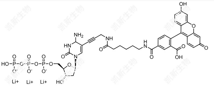FAM-11-dCTP，熒光素標記脫氧胞苷三磷酸：高效熒光標記的脫氧胞苷三磷酸衍生物及其分子生物學應(yīng)用