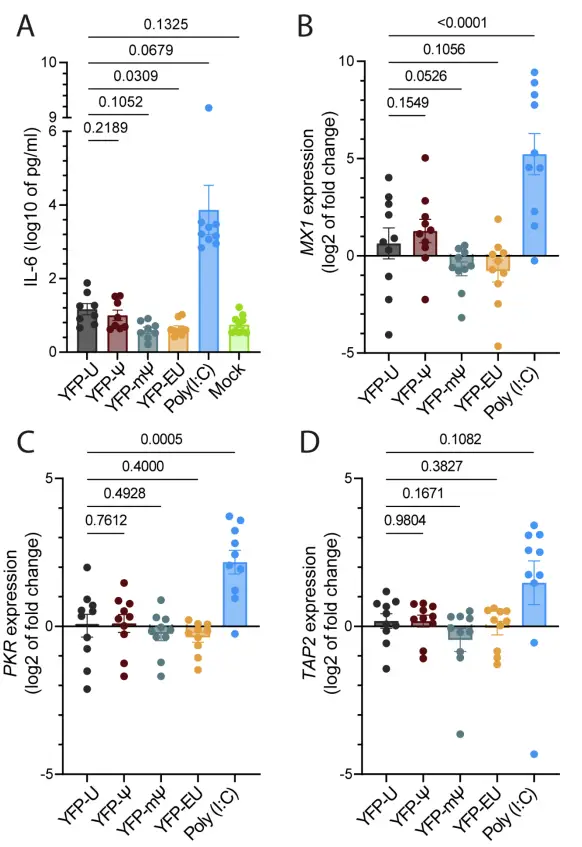 5-乙炔基尿苷：一種具有生物正交標(biāo)記潛力的mRNA治療用核苷類似物