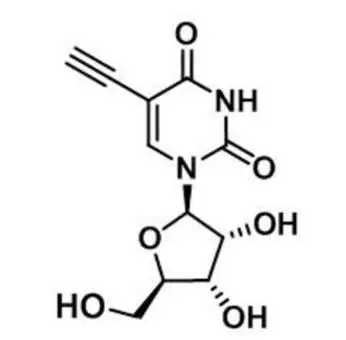 5-Ethynyluridine，5-EU，69075-42-9，核心結(jié)構(gòu)特點(diǎn)是在尿苷的5位碳上引入了一個(gè)乙炔基