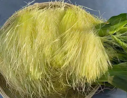 痛風(fēng)食療指南！8種低嘌呤食物建議常吃，溫和緩解不適少?gòu)?fù)發(fā)